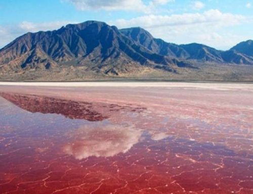 Pink Lakes of Iran